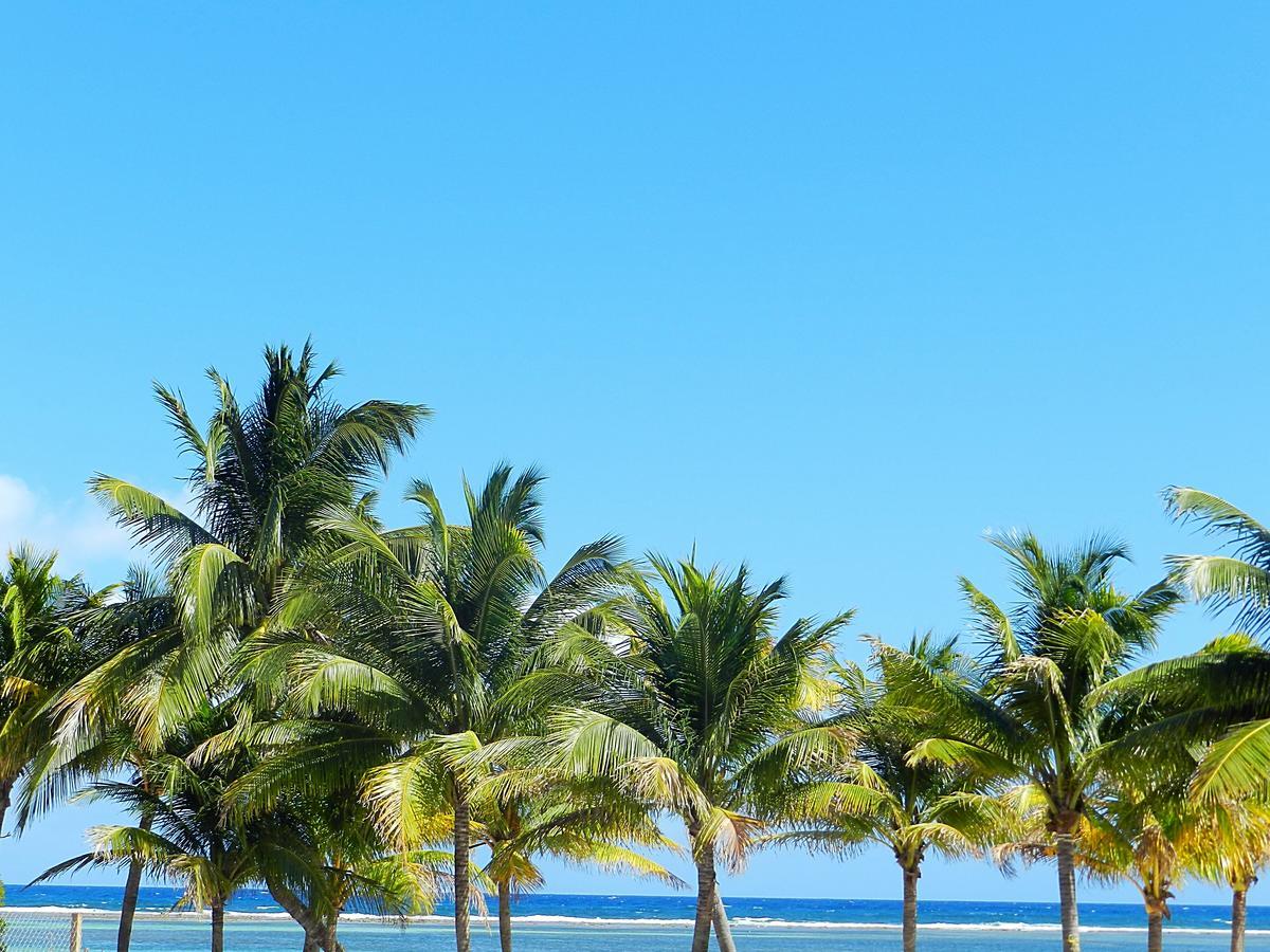 Palmeras De Mahahual Cabanas エクステリア 写真
