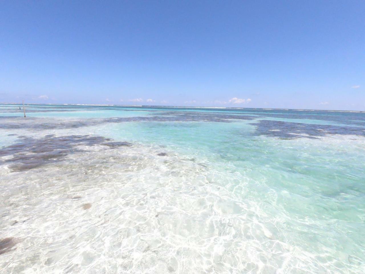 Palmeras De Mahahual Cabanas エクステリア 写真