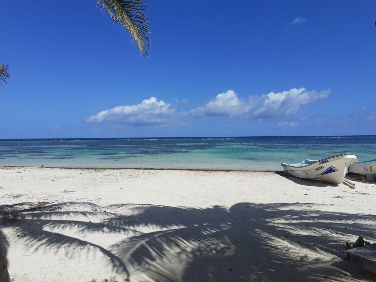 Palmeras De Mahahual Cabanas エクステリア 写真