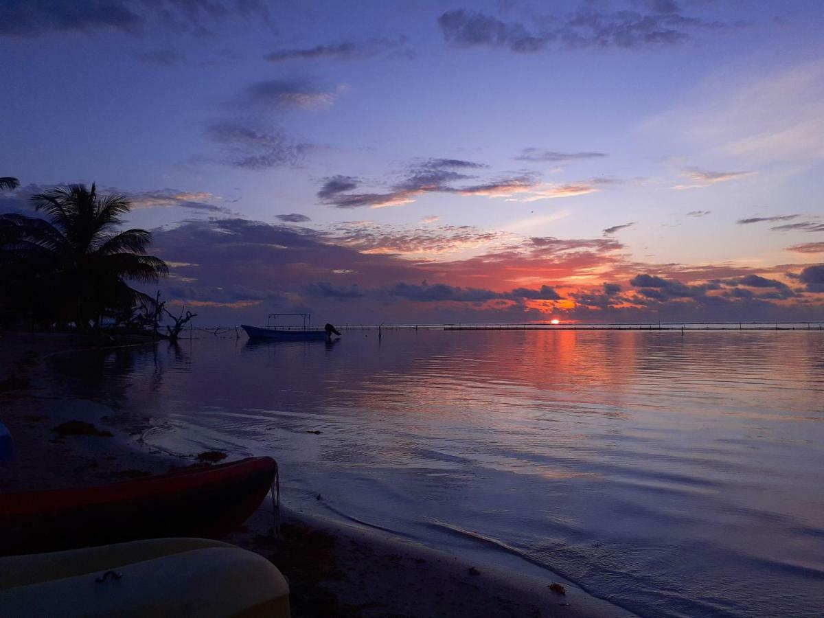 Palmeras De Mahahual Cabanas エクステリア 写真